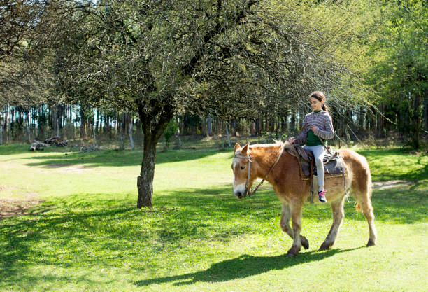 istock girls on horseback 1269963452