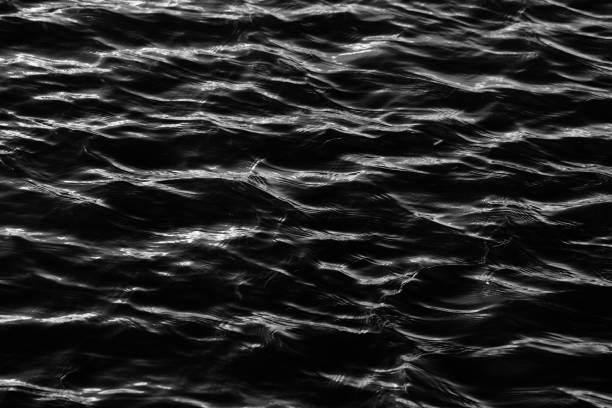 istock black and white water texture. background for the designer 1269966873
