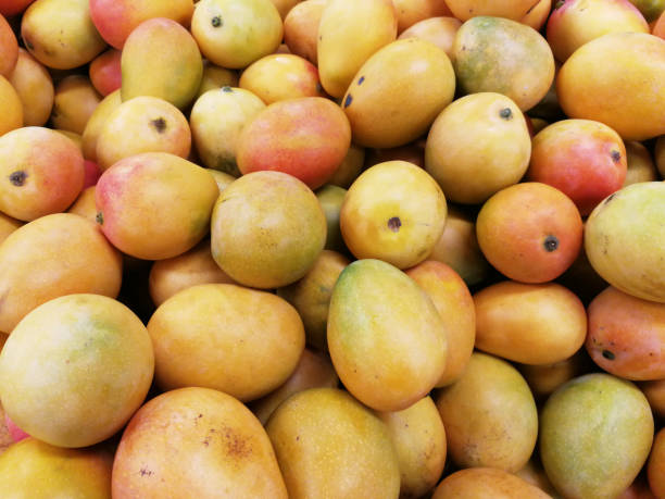 istock Group of fresh and sweet mangoes. 1269967866