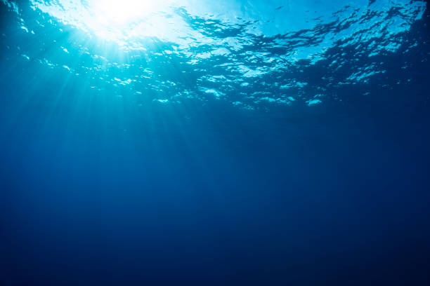 istock A glimmer of light 1269969283