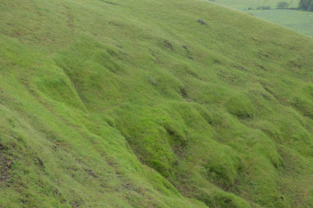istock LANDSCAPE GREEN HILL SLOPE WITH CLOUD 1269972137