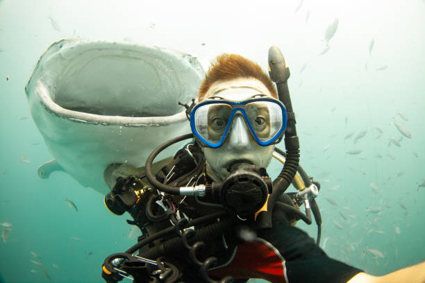 Scuba selfie with a Whale Shark behind!