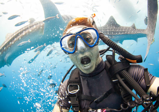 1,285 Funny Scuba Diving Pictures Pictures Stock Photos, Pictures & Royalty-Free Images - iStock 1,285 Funny Scuba Diving Pictures Pictures Stock Photos, Pictures & Royalty-Free Images - iStock