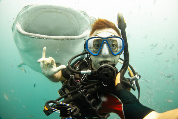 1,994 Funny Scuba Diver Stock Photos, Pictures & Royalty-Free Images -  iStock