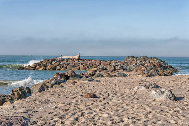 istock Benaventura California beach views with breakers and log 1269974333