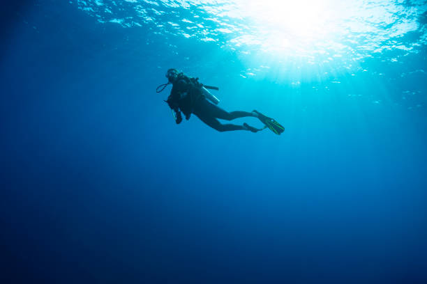 istock Calm underneath the sea 1269976573