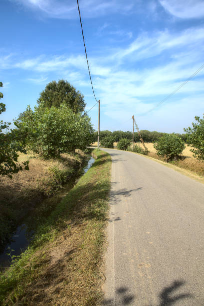 istock Road in the countryside in summer bordered by trees 1269977597