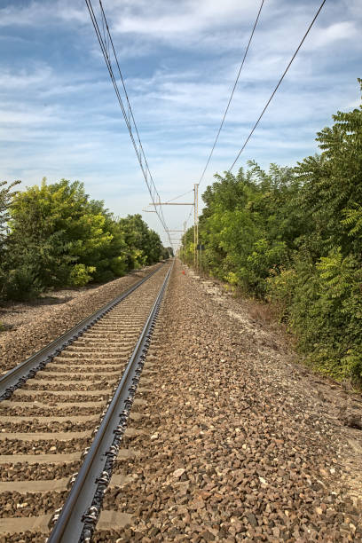 istock Railroad with over head cables and bordered by trees in summer in the countryside 1269978077