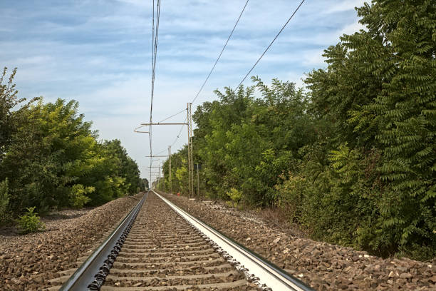 istock Railroad with over head cables and bordered by trees in summer in the countryside 1269979273
