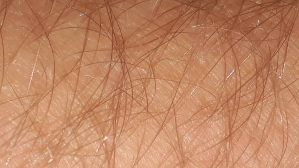 istock human skin and hair 1269980044