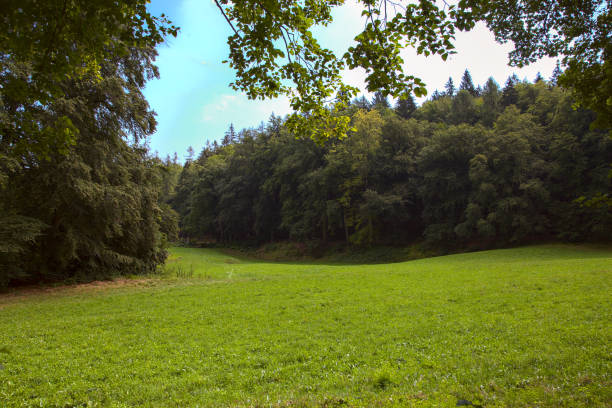 istock Open space in the mountain framed by trees 1269981493