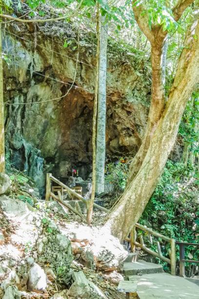 istock Tham Pla Fish Cave , Mae Hong Son , Thailand 1269984868