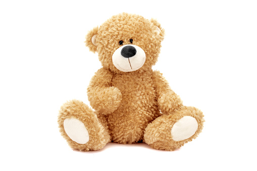 stuffed teddy bear sitting