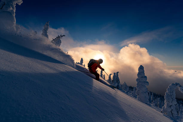 istock Powder skiing at resort 1269990028