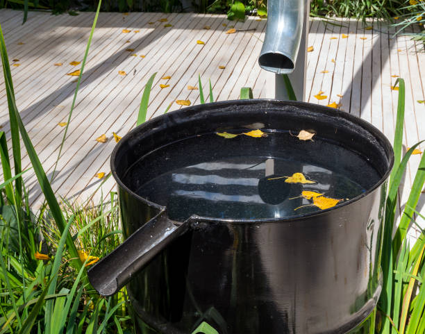 istock Barrel for rainwater with a drain gutter 1269990734