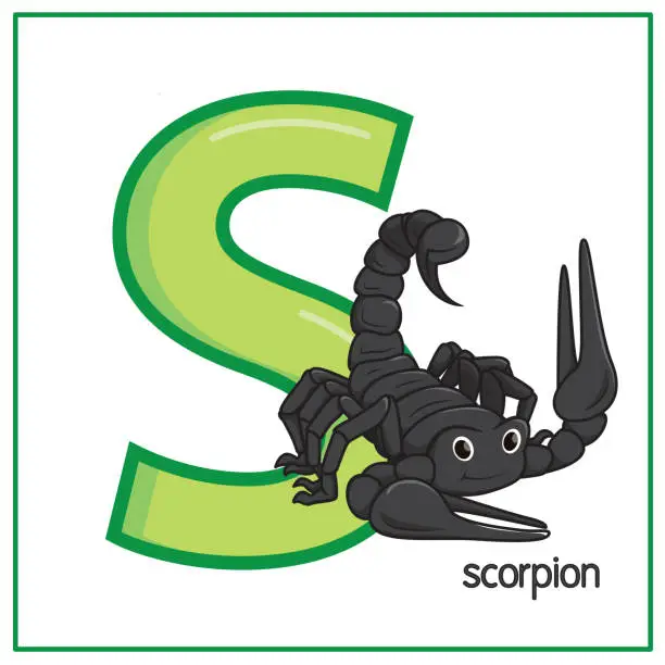 Vector illustration of Vector illustration of Scorpion isolated on a white background. With the capital letter S for use as a teaching and learning media for children to recognize English letters Or for children to learn to write letters Used to learn at home and school.