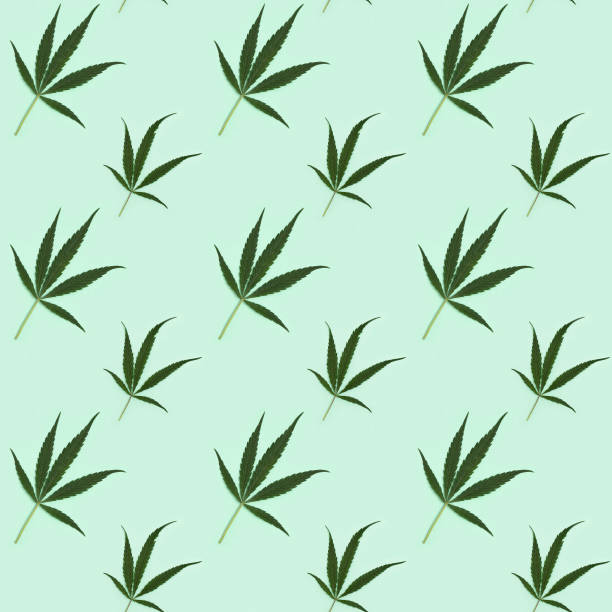 istock Seamless regular creative pattern with natural green leaves from Cannabis plant. Printing on fabric, wrapping paper. 1269992452