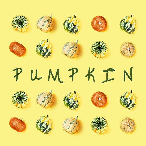 Creative seamless pattern with small round pumpkin. Autumnal holiday concept, fall, harvest, thanksgiving, halloween.