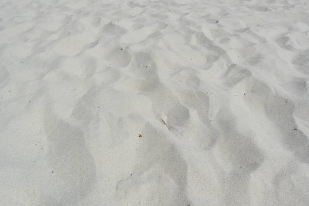 istock white sand background. fine white sand close. sand like flour 1269992730