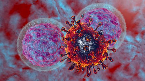 istock 3D render illustration Natural killer body cell immune respone corona virus cell .concept covid-19 antibogy cytotoxic adaptive immune response. 1269992791