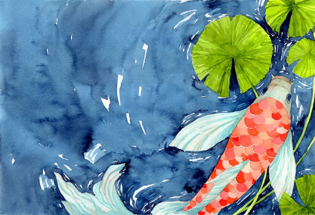 ilustrações, clipart, desenhos animados e ícones de peixe carpa koi em lagoa, símbolo de boa sorte e prosperidade. ilustração de pintura manual aquarela. - lotus pool