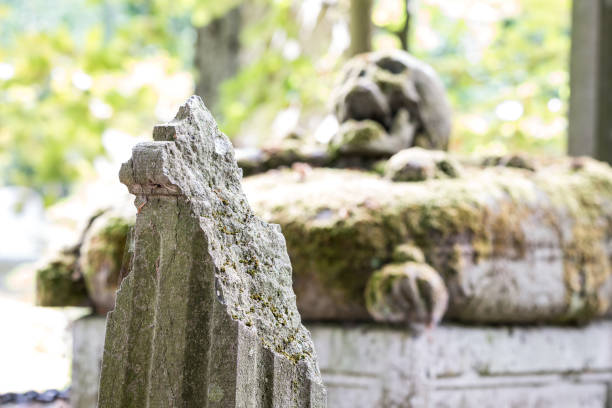 istock On a Tombstone there's a skull 1269994653