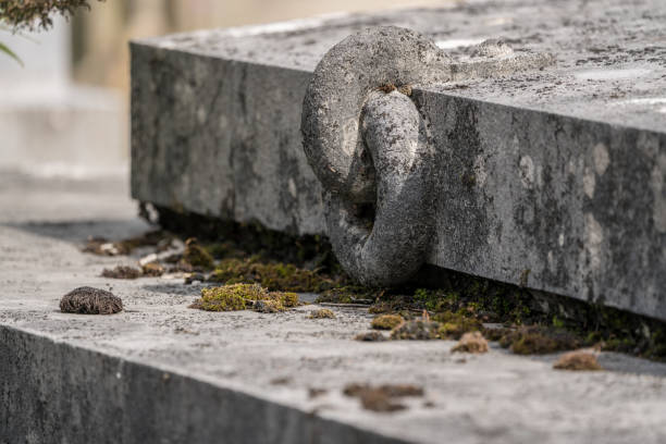 istock on a grave there is a ring made of stone 1269994667