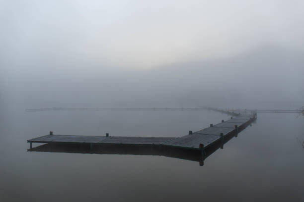 istock Pond and tree path in the morning mist 1269996133