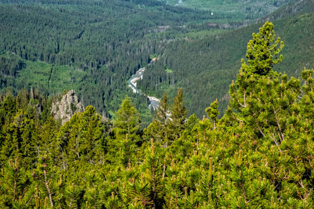 istock Mountain river, High Tatras mountains, Slovakia 1270000747