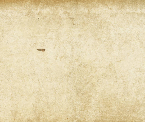 istock Grunge paper texture for background. 1270004944