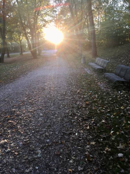 istock West Park in Munich in autumn at sunset 1270007324