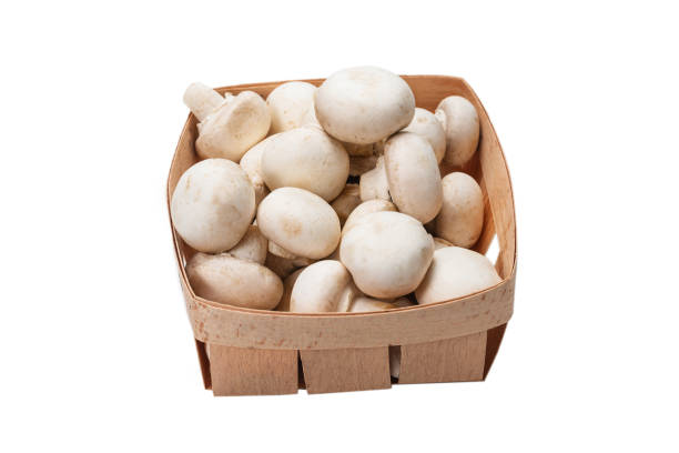 istock Champignon mushroom isolated on white background. 1270007789