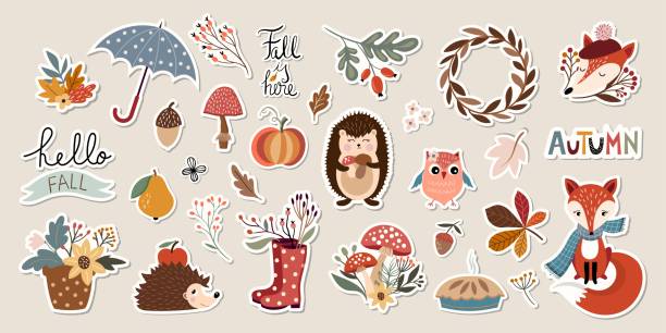 осенняя коллекция наклеек с симпатичными сезонными элементами - text animal owl icon set stock illustrations