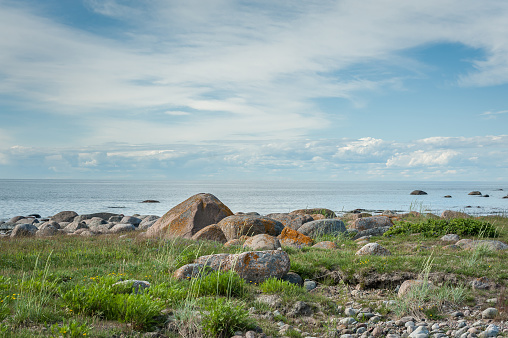 Wild rocky coastline of the Baltic sea in summer. Purekkari cape, Estonia.