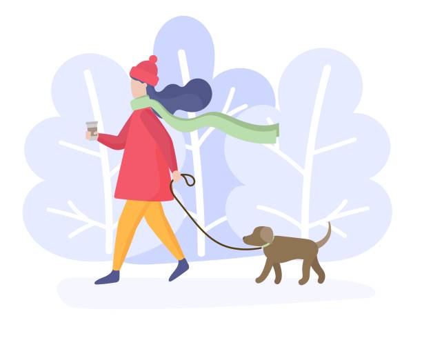 공원에서 개를 걷는 소녀 - people dog winter cute stock illustrations