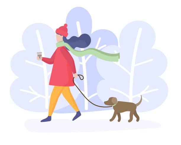 cô gái dắt chó đi dạo trong công viên - nature walk hình minh họa sẵn có