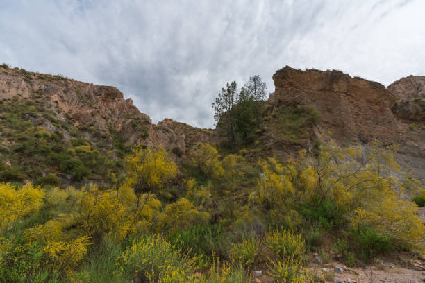 istock mountainous landscape in southern Spain 1270011858