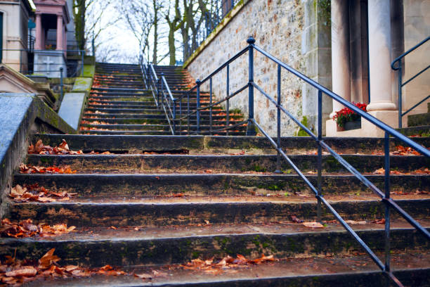 autumn leaves on the cemetery staircase - cemetery montmartre paris france france imagens e fotografias de stock