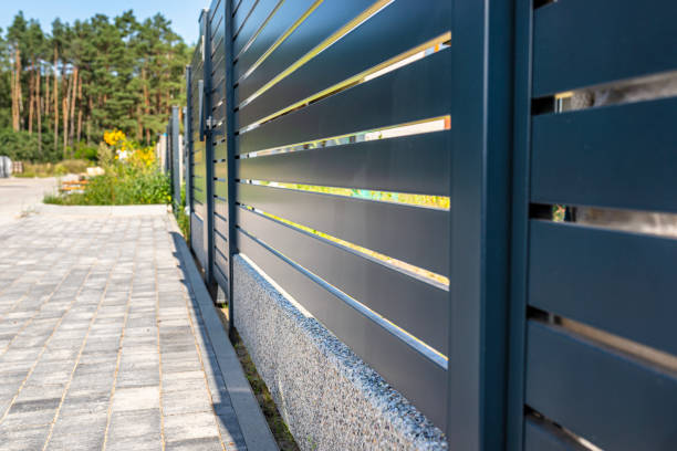 istock Modern panel fencing in anthracite color, visible spans and a wicket, forest in the background. 1270018742