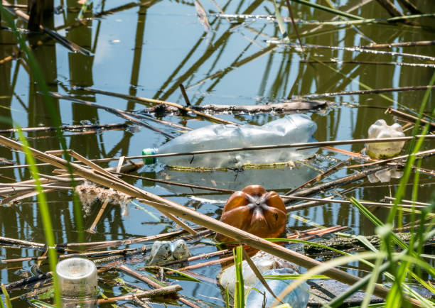 istock A plastic bottle (PET) floating on a lake in Bucharest, Romaia. Plastic pollution concept. 1270019964