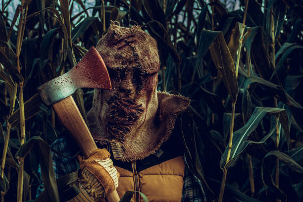 espantapájaros sosteniendo un hacha sangrienta en el campo de maíz - axe murderer spooky men fotografías e imágenes de stock