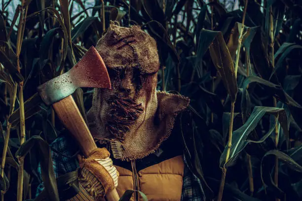 An image of a creepy and spooky Halloween monster hiding in a cornfield. Man dressed in a terrifying scarecrow holding axe with dripping blood. Horror movie concept.