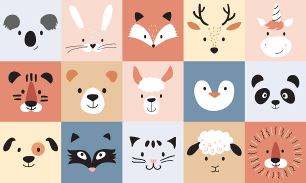 어린이와 아기를위한 귀여운 동물 - raccoon dog stock illustrations