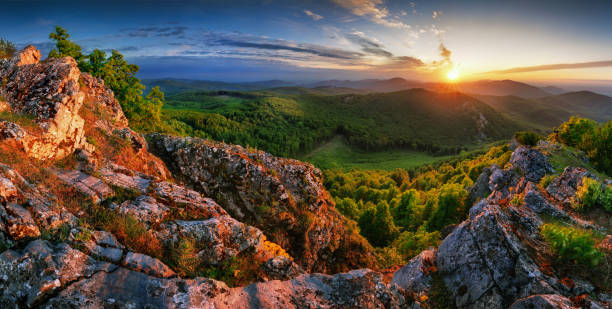 istock Forest and mountain at sunset - landscape panorama 1270022615
