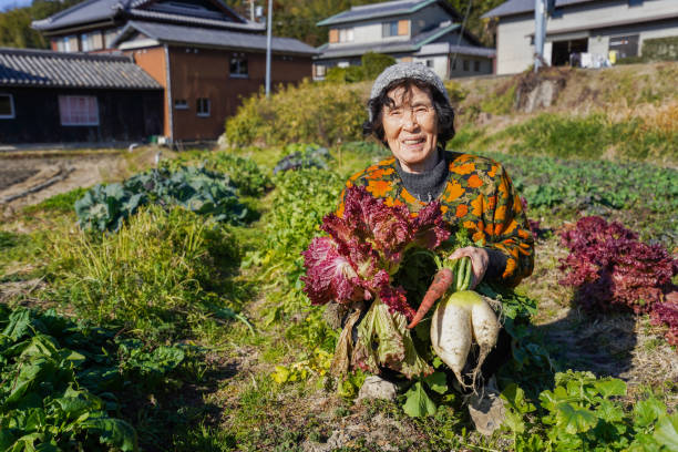 istock Senior woman with smile harvesting 1270022776