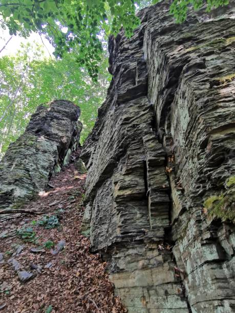 istock Nature background of rocks in the forest 1270024134