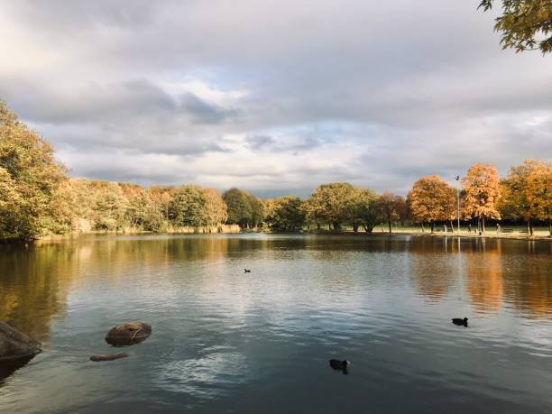 istock Lake in Munich's West Park in autumn at sunset 1270024778