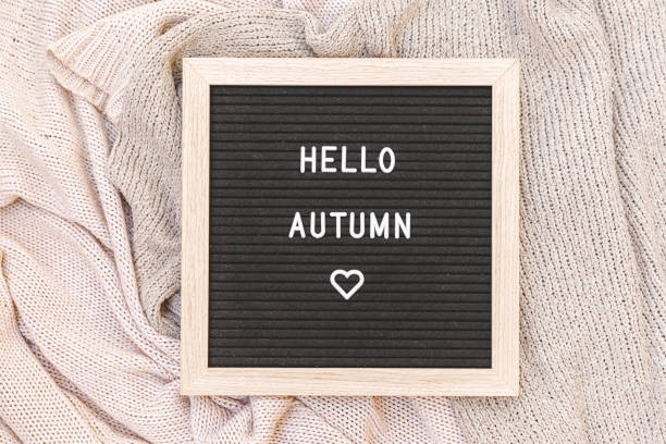 istock Autumnal Background. Black letter board with text phrase Hello Autumn lying on white knitted sweater. Top view, flat lay. Thanksgiving banner. Hygge mood cold weather concept 1270025287