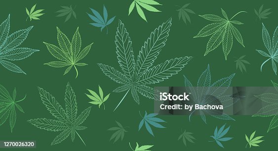 200+ Drawing Of Medical Marijuana Symbol Stock Illustrations, Royalty-Free  Vector Graphics & Clip Art - iStock
