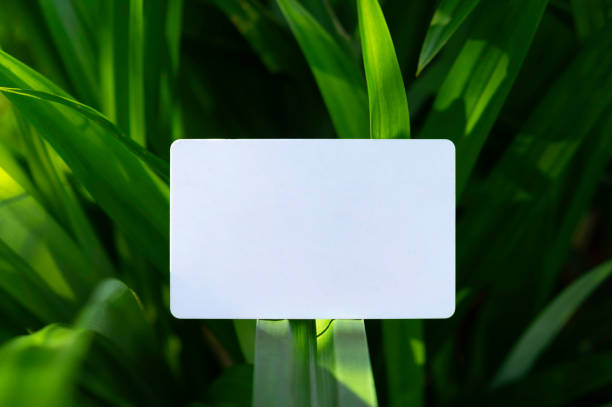 business card mock up with  green leaf background , Creative layout with green world concept
